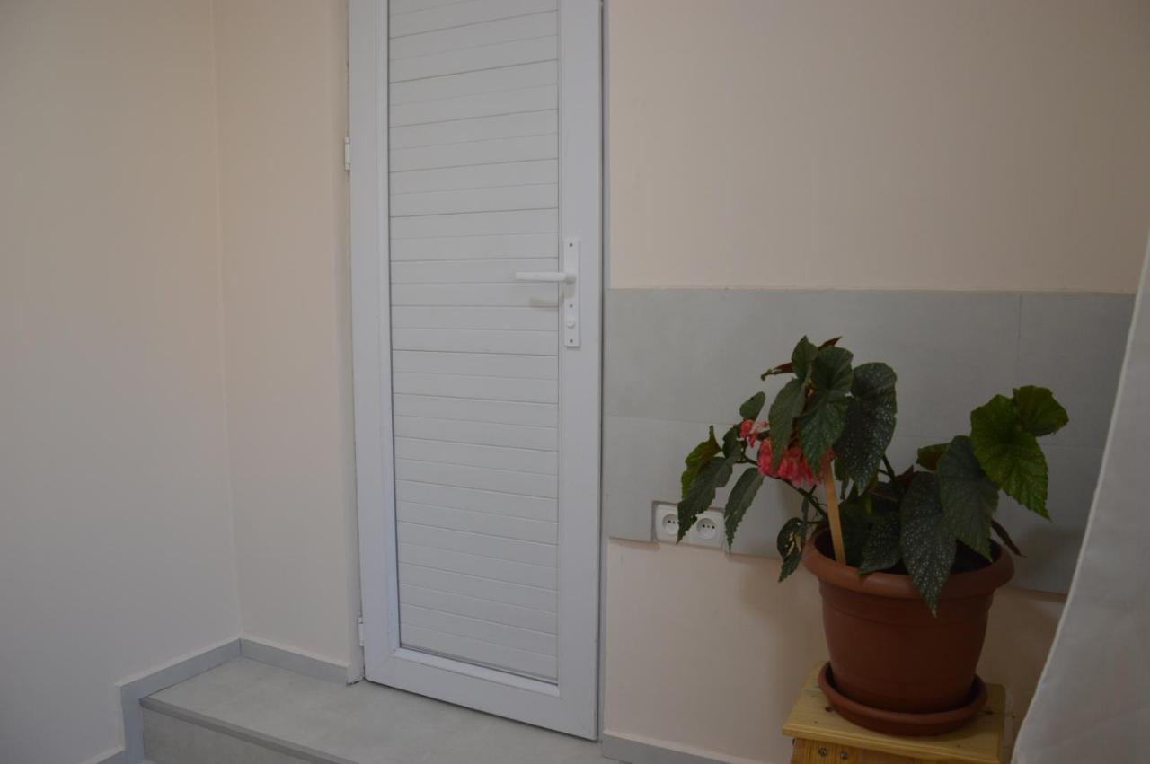 Ailama Guesthouse 메스티아 외부 사진